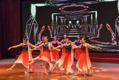 闵行区侨法宣传月  启动仪式